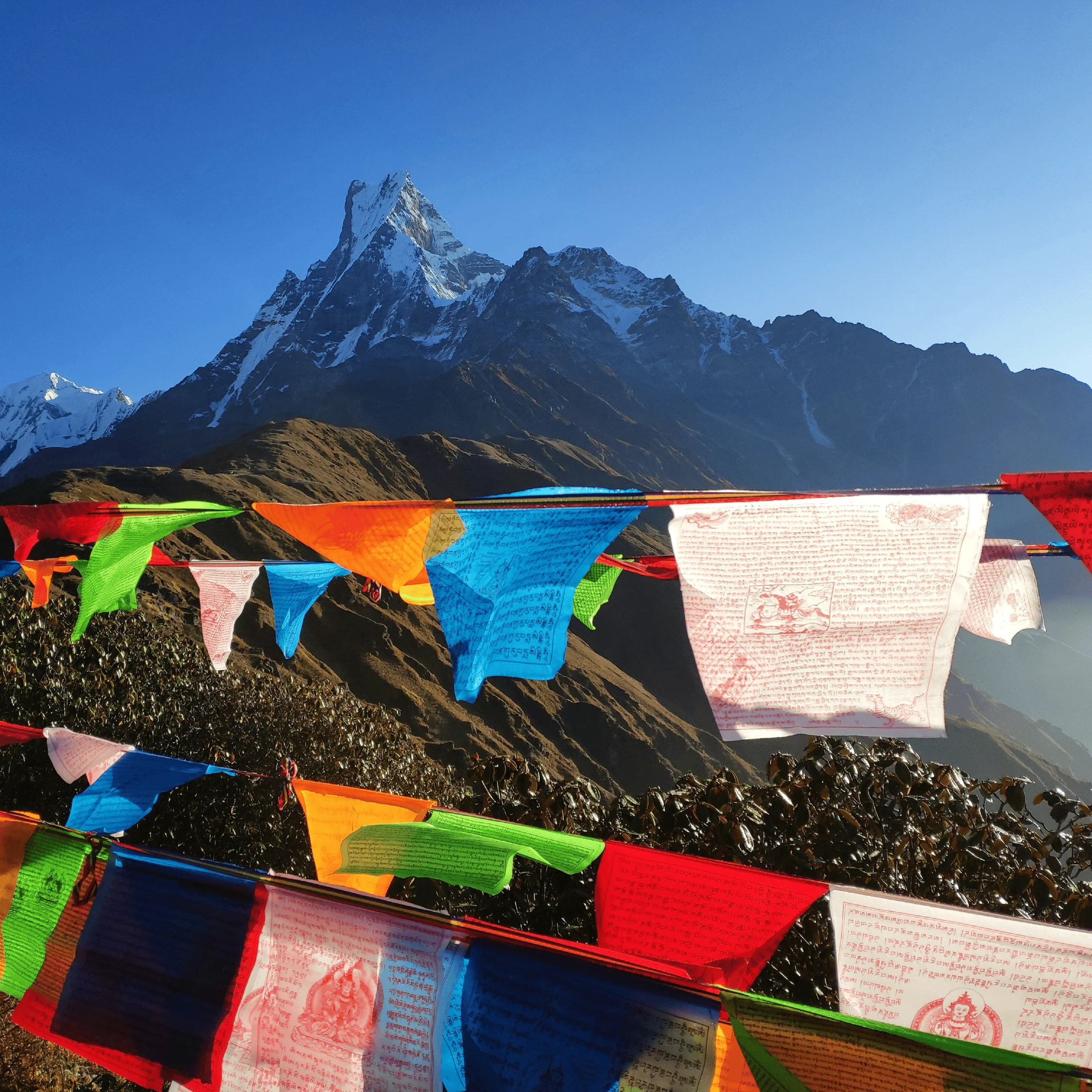 Unlimited Nepal eSIM